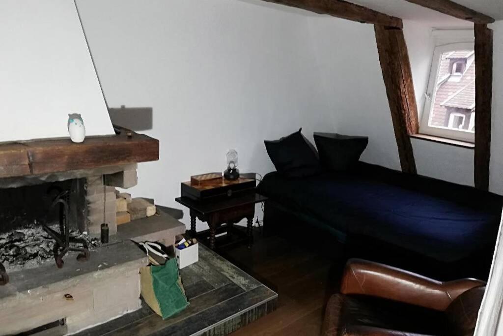 La Chaumiere Lejlighed Strasbourg Eksteriør billede