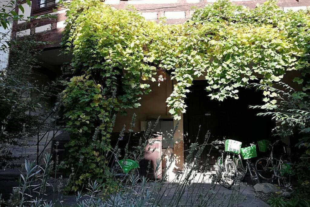 La Chaumiere Lejlighed Strasbourg Eksteriør billede